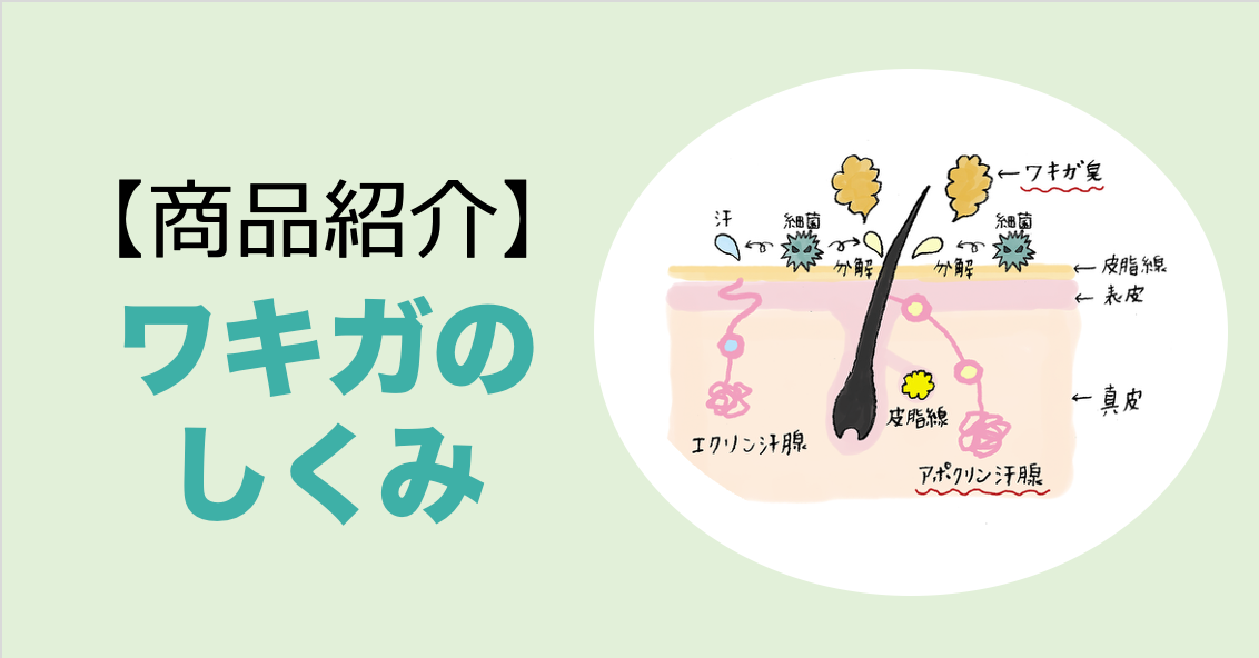 【新商品紹介】「ワキガのしくみ」画像