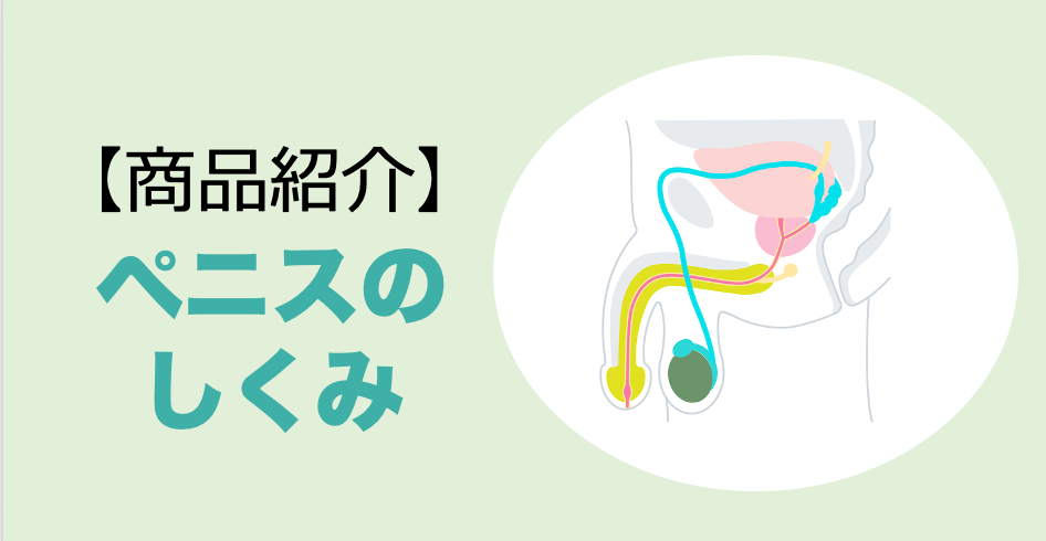 【商品紹介】おしっこと精液は混ざらないの？意外と知らない「ペニスの仕組み」