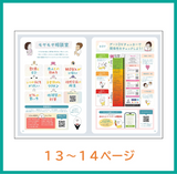 「マイプレコン」1冊 単品