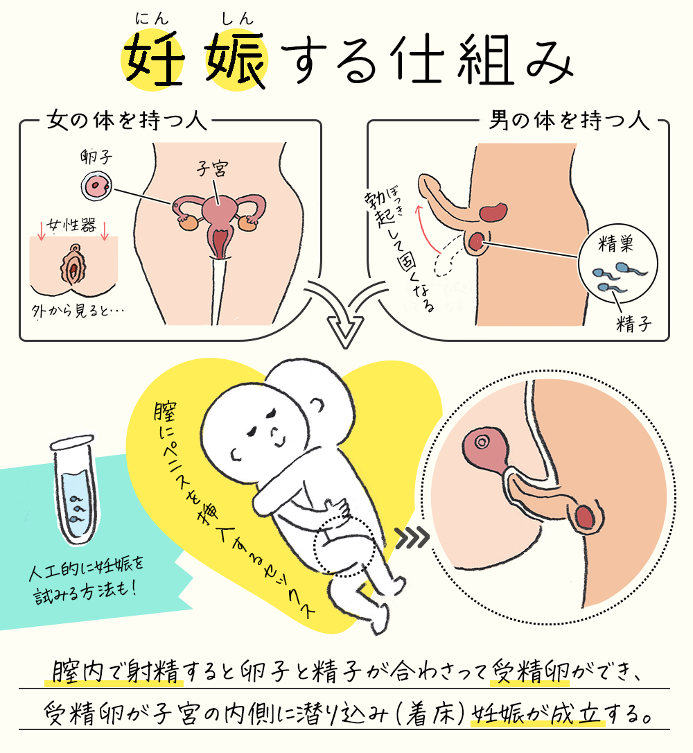 指導用教材 – withセイシル