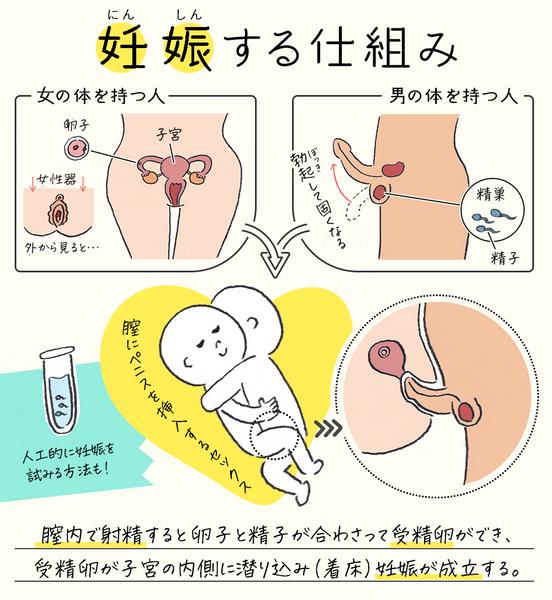 70年代 ビンテージ 1972 ライオネル・カリッシュ イラスト 妊婦 ポスター 挿絵画像】妊娠する仕組み – withセイシル